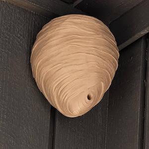May include: A light brown, rounded, paper-like structure with a layered, swirling texture and a single small circular opening at the bottom, resembling a wasp nest, mounted in the corner of a dark, vertically paneled wooden surface.