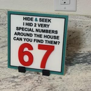Puede incluir: Un letrero cuadrado blanco con borde verde azulado y texto negro que dice HIDE & SEEK I HID 2 VERY SPECIAL NUMBERS AROUND THE HOUSE CAN YOU FIND THEM? Debajo del texto hay dos números rojos grandes en relieve, 6 y 7, sobre dos soportes negros.