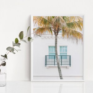 Puede incluir: Una fotograf&iacute;a enmarcada de una palmera frente a un edificio blanco con dos ventanas y un balc&oacute;n. Las ventanas son de color azul claro y el balc&oacute;n tiene una barandilla negra.