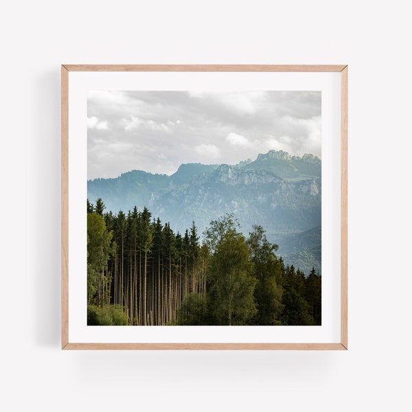 Square Germany photography - Bavarian forest landscape photo print - Black and white Europe travel prints - German wall art