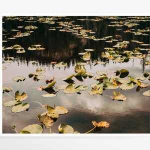 Dark wall art print - Lily pond photography print - Moody autumn fine art photo - Large wall decor for lake or cabin