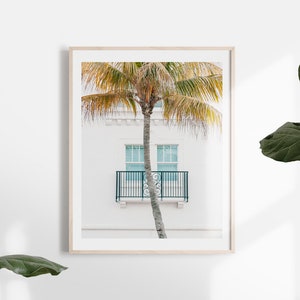 Puede incluir: Una fotograf&iacute;a enmarcada de una palmera frente a un edificio blanco con un balc&oacute;n y dos ventanas. Las ventanas son de color azul claro y el balc&oacute;n es negro.