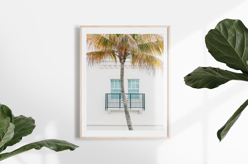Puede incluir: Una fotograf&iacute;a enmarcada de una palmera frente a un edificio blanco con un balc&oacute;n y dos ventanas. Las ventanas son de color azul claro y el balc&oacute;n es negro.
