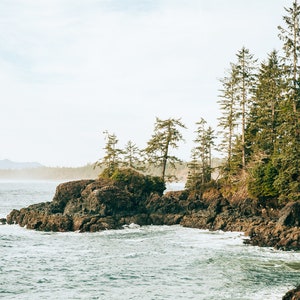 Pu&ograve; includere: Un paesaggio costiero con una costa rocciosa e alberi sempreverdi. Le onde del mare si infrangono contro le rocce scure, sotto un cielo nuvoloso. L'immagine evoca un senso di bellezza naturale e tranquillit&agrave;.
