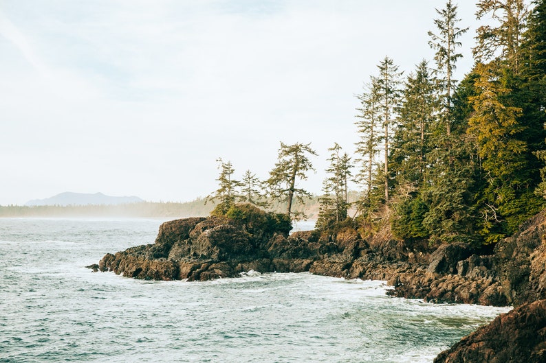 Pu&ograve; includere: Un paesaggio costiero con una costa rocciosa e alberi sempreverdi. Le onde del mare si infrangono contro le rocce scure, sotto un cielo nuvoloso. L'immagine evoca un senso di bellezza naturale e tranquillit&agrave;.