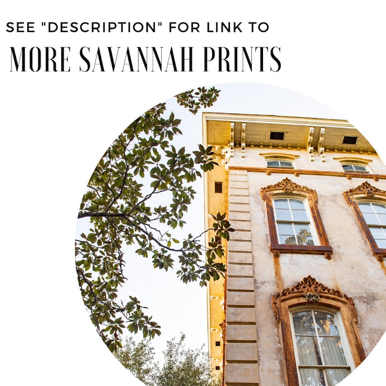 Pu&ograve; includere: Fotografia architettonica di un edificio storico con cornici di finestre ornate e una facciata usurata. L'immagine include il testo "SEE DESCRIPTION FOR LINK TO MORE SAVANNAH PRINTS". Il fogliame verde incornicia l'edificio.