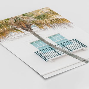 Puede incluir: Un edificio blanco con un balc&oacute;n y una palmera delante. El balc&oacute;n tiene una barandilla negra y una ventana con cristales azules. La palmera tiene hojas verdes y un tronco marr&oacute;n.
