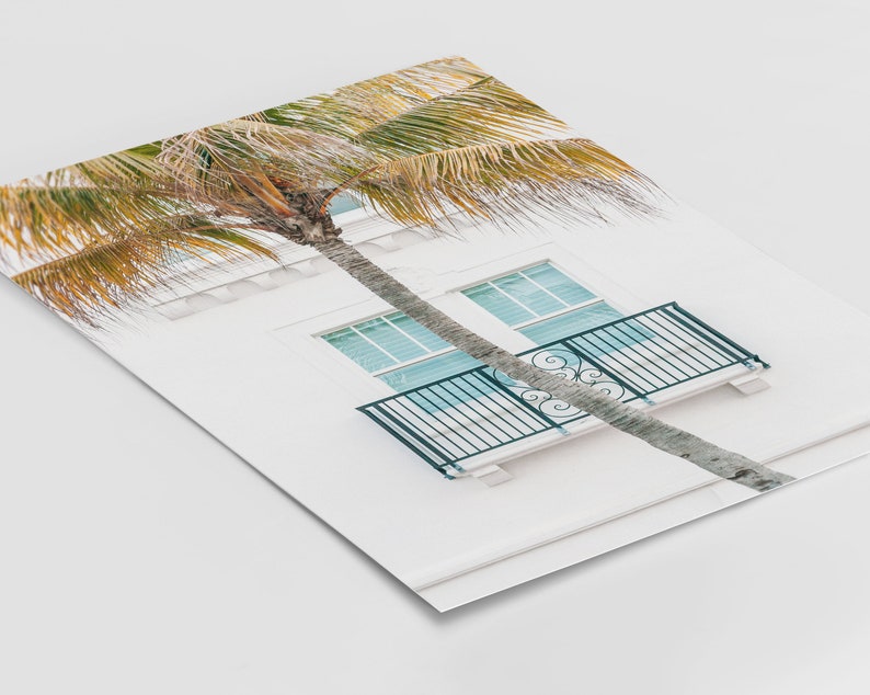 Puede incluir: Un edificio blanco con un balc&oacute;n y una palmera delante. El balc&oacute;n tiene una barandilla negra y una ventana con cristales azules. La palmera tiene hojas verdes y un tronco marr&oacute;n.