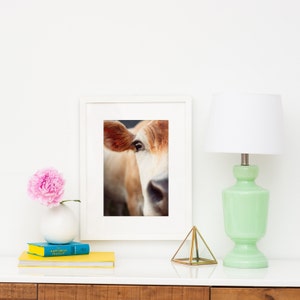 May include: A framed print featuring a close-up of a cow's eye and ear, with tan and brown fur. The print is in a white frame, displayed on a white surface with a pink flower in a white vase, books, a green lamp, and a geometric glass object.