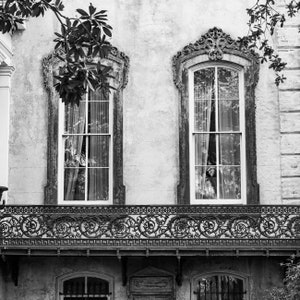May include: Black and white photograph of a building facade featuring two ornate windows with decorative frames. A wrought iron balcony with a detailed pattern runs below the windows. Foliage from a tree hangs from the top.
