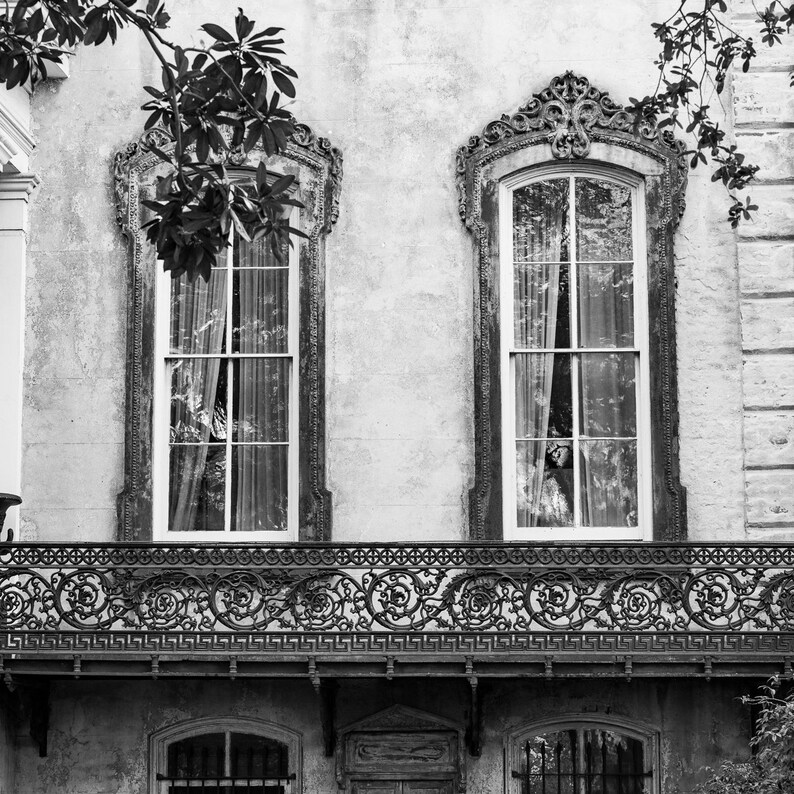 May include: Black and white photograph of a building facade featuring two ornate windows with decorative frames. A wrought iron balcony with a detailed pattern runs below the windows. Foliage from a tree hangs from the top.