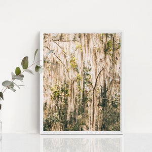 Pu&ograve; includere: Una stampa artistica incorniciata con un paesaggio naturale con muschio pensile e rami di alberi. L'opera d'arte ha una tavolozza di colori neutri con sfumature di beige, verde e marrone. Un barattolo di vetro con un rametto di verde si trova a sinistra.