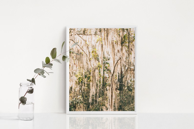 Pu&ograve; includere: Una stampa artistica incorniciata con un paesaggio naturale con muschio pensile e rami di alberi. L'opera d'arte ha una tavolozza di colori neutri con sfumature di beige, verde e marrone. Un barattolo di vetro con un rametto di verde si trova a sinistra.