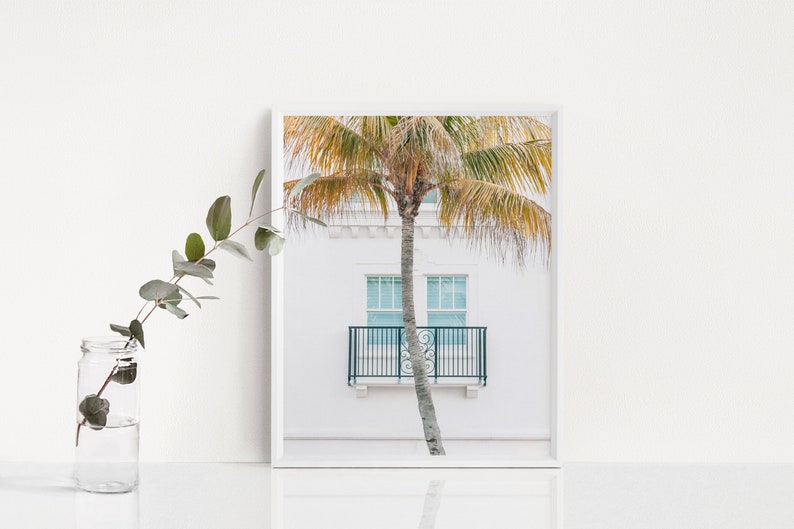Puede incluir: Una fotograf&iacute;a enmarcada de una palmera frente a un edificio blanco con dos ventanas y un balc&oacute;n. Las ventanas son de color azul claro y el balc&oacute;n tiene una barandilla negra.