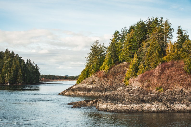 May include: A scenic coastal landscape featuring a rocky shoreline and lush evergreen trees. The water is calm, reflecting the sky and clouds. The scene evokes a sense of tranquility and natural beauty.