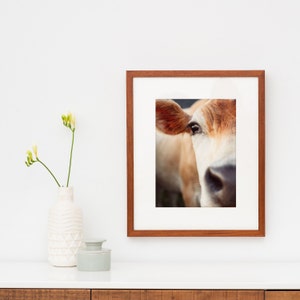 May include: A framed print featuring a close-up of a cow's face, showcasing its eye, ear, and muzzle. The print is in a brown wooden frame with a white mat. A white vase with yellow flowers and a small gray container are on a white surface.