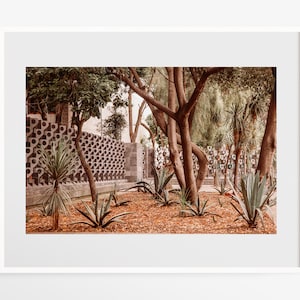 Mexico City photo print - Bosque de Chapultepec Park - Modern gallery wall art - North America travel wall decor - 12x18 16x24 Vintage green