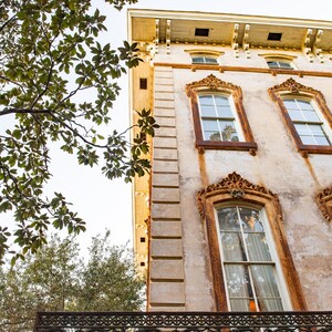 Pu&ograve; includere: Vista dal basso di un edificio storico con cornici di finestre ornate e un balcone decorativo in ferro battuto. La facciata dell'edificio &egrave; beige chiaro con accenti color ruggine. Il fogliame verde incornicia la parte superiore e il lato sinistro.