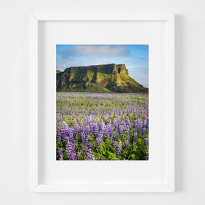 Iceland landscape print - Travel photography - Large wall art - Nature print - Fine art photography - Iceland photos - Mountain lupines art