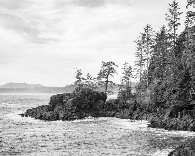 Pu&ograve; includere: Fotografia in bianco e nero di una costa rocciosa con alberi sempreverdi. Le onde dell'oceano si infrangono sulle rocce scure, sotto un cielo nuvoloso. La scena evoca un senso di natura selvaggia e bellezza naturale.