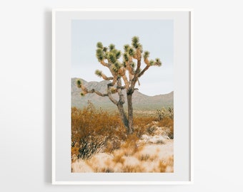 Joshua tree photo print - Mojave desert wall decor - California nature photography -  5x7 8x10 12x18 16x20 20x30 + more sizes