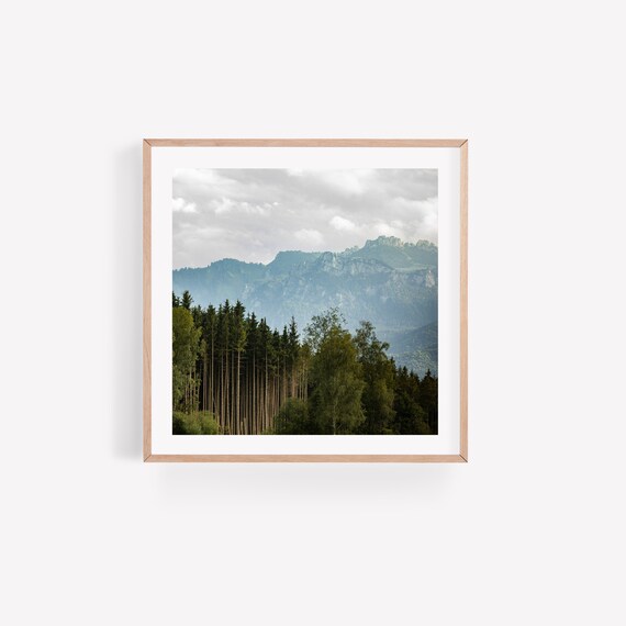 Square Germany photography - Bavarian forest landscape photo print - Black and white Europe travel prints - German wall art