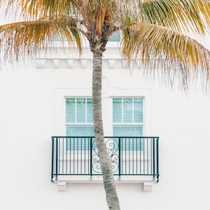 Puede incluir: Una palmera creciendo frente a un edificio blanco con una ventana y una barandilla de balc&oacute;n de metal negro.
