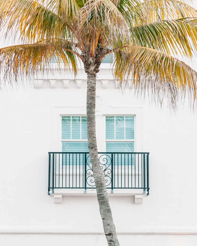 Puede incluir: Una palmera creciendo frente a un edificio blanco con una ventana y una barandilla de balc&oacute;n de metal negro.