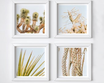 Mojave desert print set of 4 square photos - One Free! - Modern minimal wall decor - Matching art
