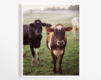 Modern farmhouse wall art - Cow art print - French Country wall decor - Rich earth tones - Black and white - Farm animals - Barn decor