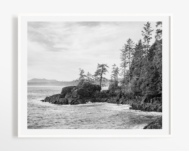 Pu&ograve; includere: Fotografia in bianco e nero di un paesaggio costiero. L'immagine presenta una costa rocciosa con alberi sempreverdi e acqua. Il cielo &egrave; nuvoloso, creando un'atmosfera serena.