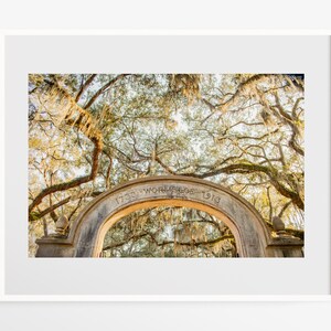 Wormsloe Plantation photography - Savannah Georgia photo print - Live oak tree tunnel print - Southern wall art - Travel decor