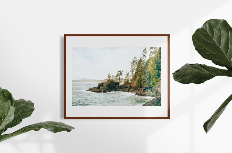 Pu&ograve; includere: Una stampa incorniciata di un paesaggio costiero. L'immagine mostra una costa rocciosa con alberi sempreverdi e l'oceano sotto un cielo nuvoloso. La cornice &egrave; di colore marrone scuro e la stampa &egrave; esposta su una parete bianca.