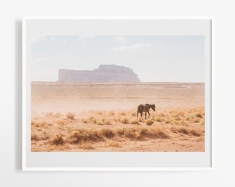 Southwestern horse print - American desert photo print - Desert photography - Arizona landscape art - Natural earth tones