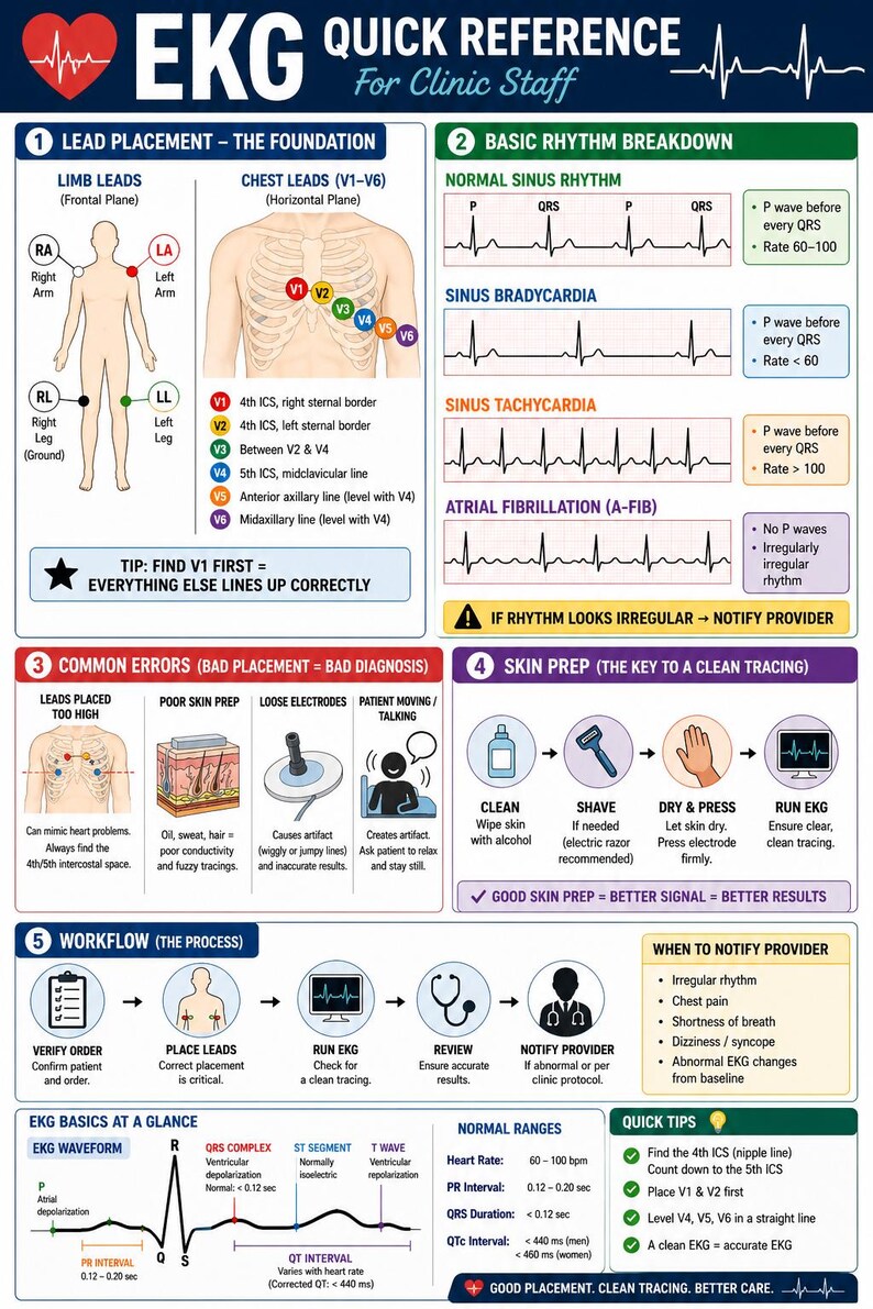 May include: An EKG quick reference guide for clinic staff, featuring diagrams of lead placement, basic rhythms, common errors, skin prep, and workflow. Includes normal ranges and quick tips for accurate readings.