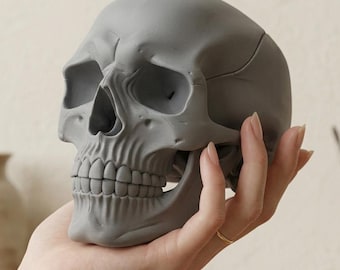 3D-tryckt skalledekor, replika av mänsklig skalle, Halloween-skalledekoration, gotisk heminredning, anatomisk skalle, skrivbordsskulpturgåva
