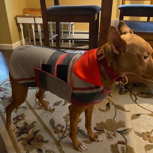 Italian Greyhound waterproof winter coat (or Whippet puppy)