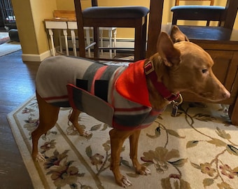 Italian Greyhound waterproof winter coat (or Whippet puppy)