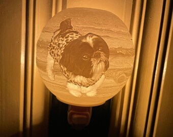 Jupiter Lithophane Nightlight Photo Keepsake Gift, 3D Printed