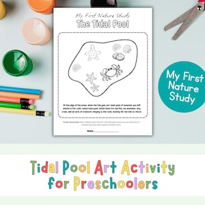 Op de afbeelding: Een zwart-wit "Tidal Pool" kunstactiviteitenblad voor kleuters. Het blad bevat een tekening van een getijdenpoel met zeesterren, schelpen en een krab. De tekst "My First Nature Study" staat bovenaan.