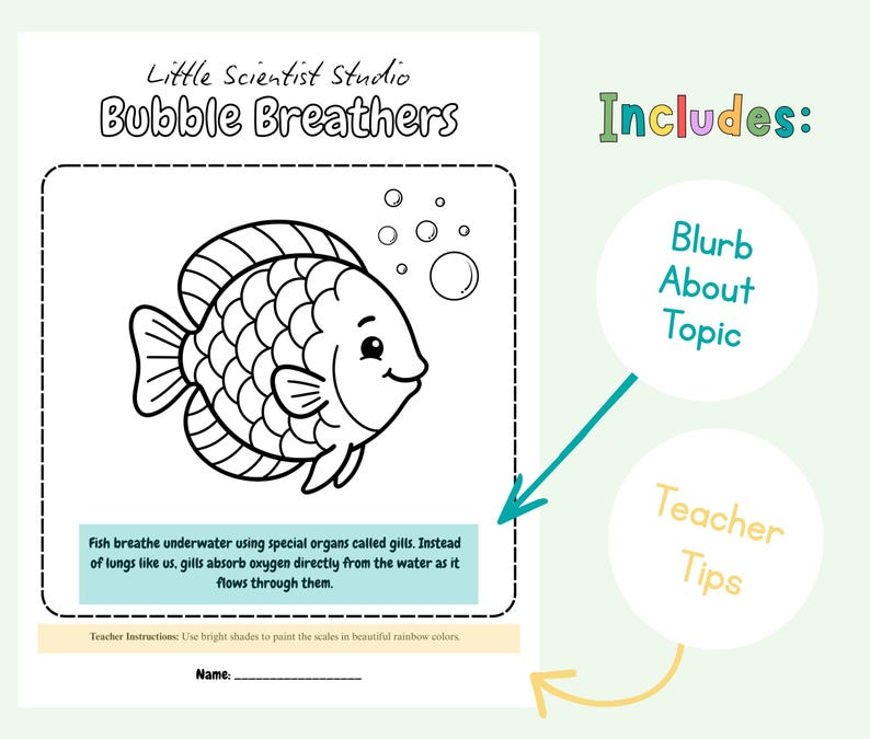 Fish Pdf Coloring Science Preschool Ocean Science Activity Kit – Marine Biology Coloring Pages ...