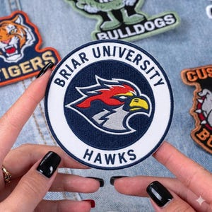 May include: A round patch with the text "BRIAR UNIVERSITY" and "HAWKS" in white lettering on a navy blue background. The patch features a red, yellow, and gray hawk emblem. Other patches with team logos are visible in the background.