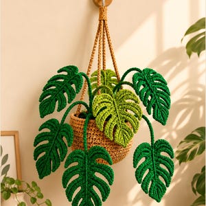 Patrón de ganchillo para planta colgante Monstera, decoración tropical ideal para principiantes (descarga en PDF)
