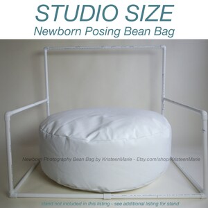 Newborn Bean Bag: Posting Beanbag for Photography - Large Studio Sized Poser Bean Bag - Large Newborn Bean Bag - Newborn Posing Nest