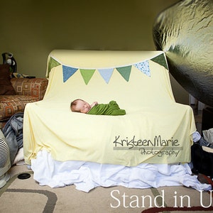 Newborn Photography Starter Kit: Includes Backdrop Stand and Baby Beanbag Great for On-location Photographers or Simple Studio Set-Ups image 2