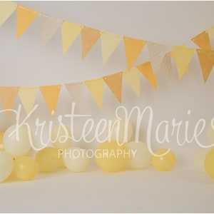 Yellow Photography Backdrop - You are My Sunshine Digital Backdrop - Great for 1st Birthday Cake Smash - Sunshine First Birthday
