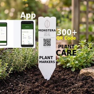 Puede incluir: Un marcador de plantas blanco con el texto "MONSTERA" y un código QR está plantado en tierra. El marcador también muestra "Plant Care" y "Plant Markers". Una tableta y un teléfono inteligente muestran una aplicación. La imagen también incluye el texto "300+ QR Code".