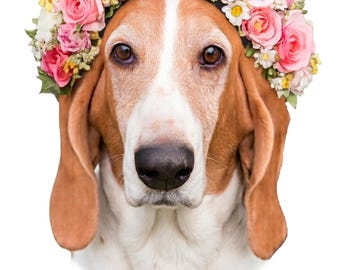 Pegatina de vinilo troquelada con corona de flores y diseño caprichoso de Basset Hound