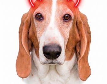 Pegatina de vinilo troquelada e impermeable con forma de perro Basset Hound y cuernos de diablo.