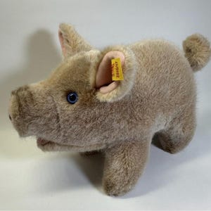 Vintage Steiff Pig - Etsy